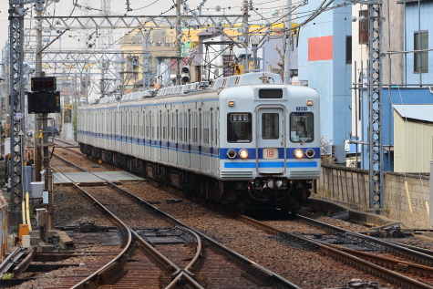 1259 (1)