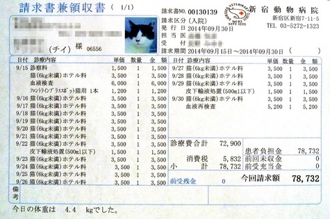 1213 (1)