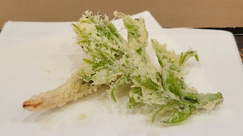 06-1820 (15)