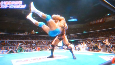 G1CLIMAX2012 (10)