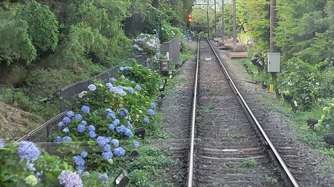 14-1355 (38)