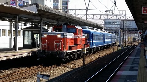 1204 (5)