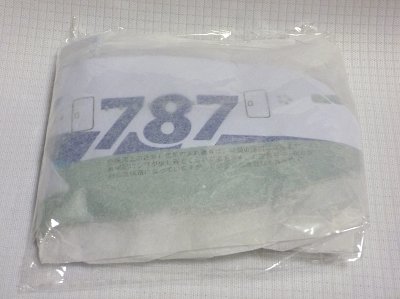 P1140913