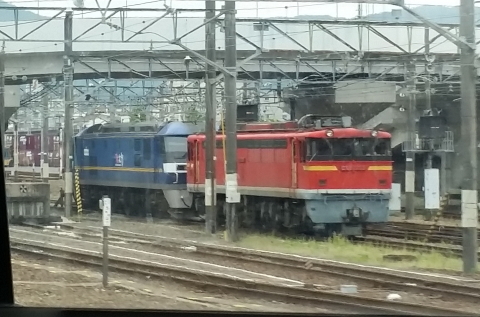 1000 (2)
