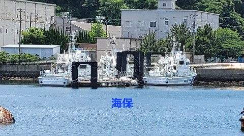 17-1100 (30)