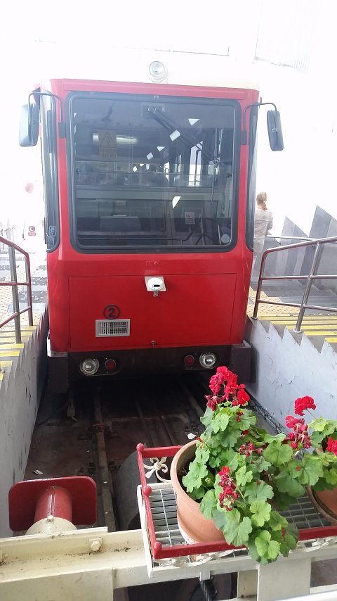 1152 (10)