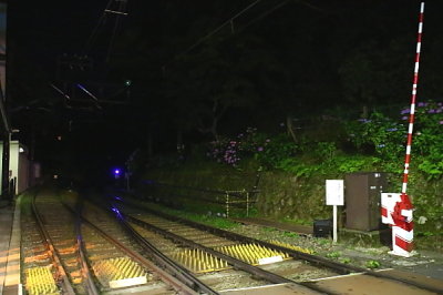 2012 (1)