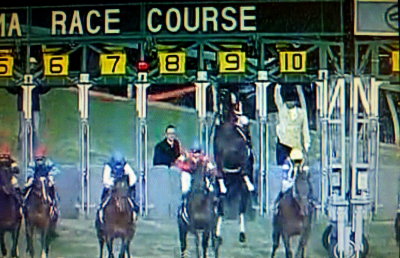 12 有馬記念はゴールドシップ 支配人のたららんな日々