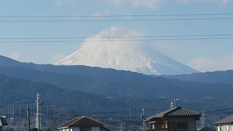 05-1253 (6)