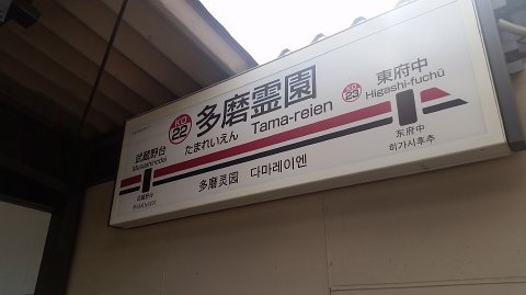1157 (1)