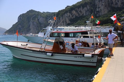 1151 (2)