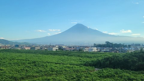 06-0653 (1)