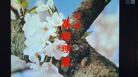 28-1040 (2)