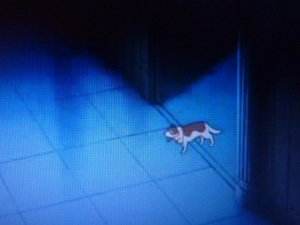 ¥Õ¥é¥ó¥À¡¼¥¹ (6)