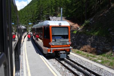 �ĥ���ޥå�1341