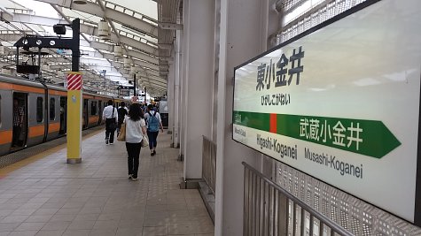 1005 (2)
