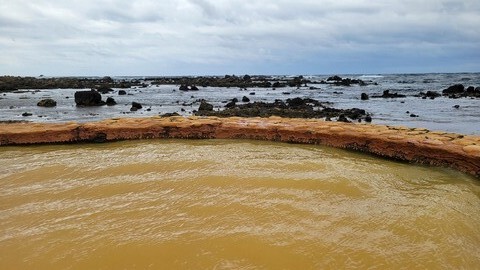 01-0839 (7)