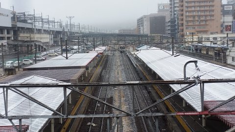 0747 (4)