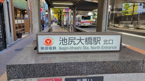 12-1100 (1)