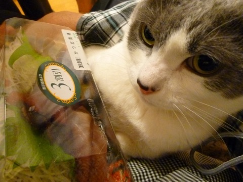 ������������