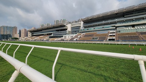 23-0823 (4)