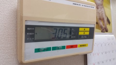1700 (4)