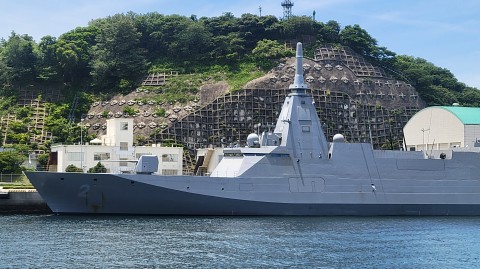 17-1100 (46)