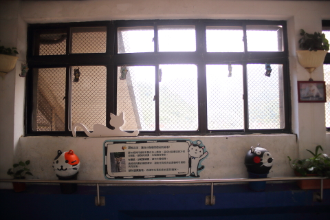 1146 (4)