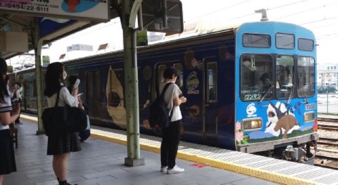 1159 (4)