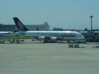 P1050674
