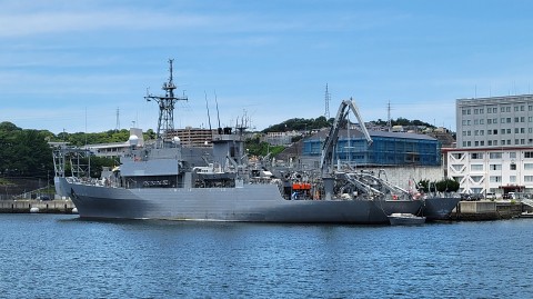 17-1100 (31)