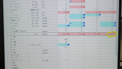 24-1215 (3)