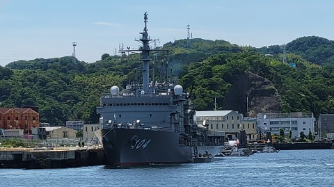 17-1100 (25)