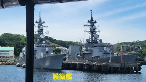17-1100 (44)