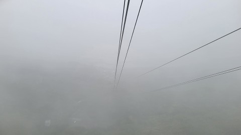 18-1210 (10)