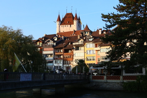 1735 (15)