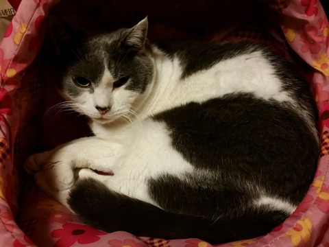 ������������