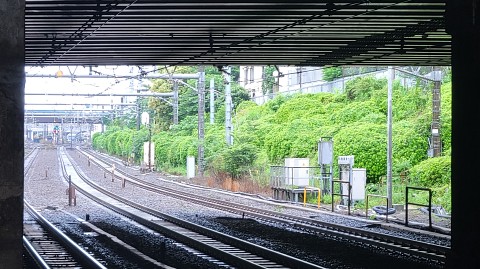 28-0959 (2)