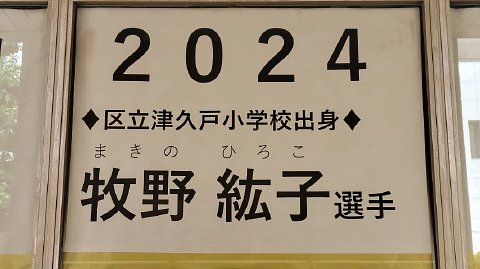 31-1354 (5)