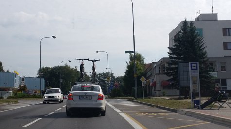 1319 (1)