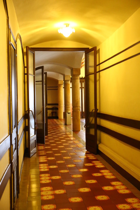 ¥«¥¿¥ë¡¼¥Ë¥ã²»³ÚƲ (53)