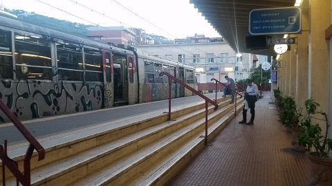 2014 (6)