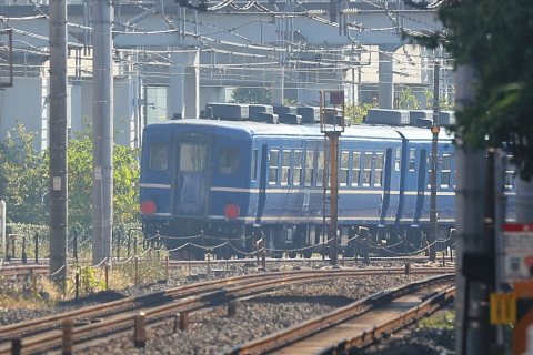 1025 (3)