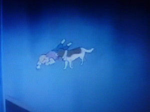 ¥Õ¥é¥ó¥À¡¼¥¹ºÇ½ª²ó (8)