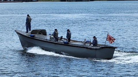 17-1100 (34)