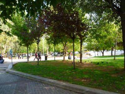 1441����եƥꥢ������ (1)