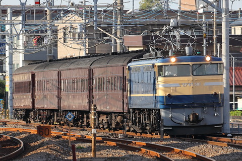 1513 (1)