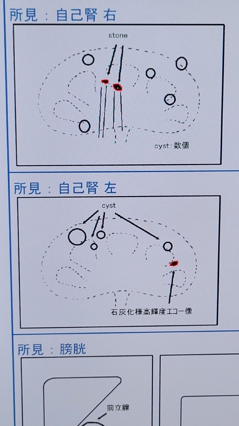 02-1037 (2)