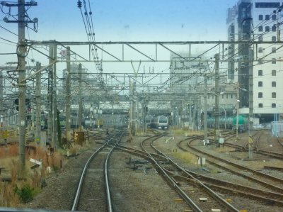 0955 (1)