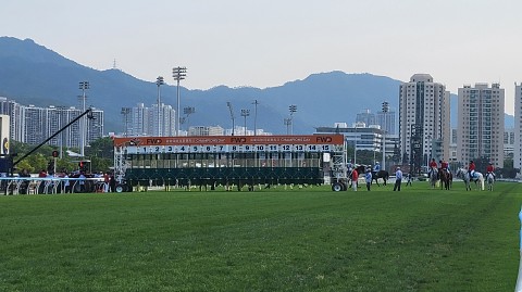 26-1656 (3)